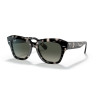 Ray-Ban State Street Havana Grey Sunglasses | Ray-Ban at Centro Óptico Alpedrete