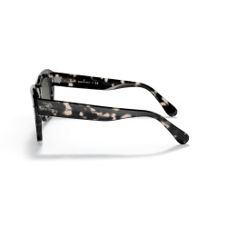 Ray-Ban State Street Havana Grey Sunglasses | Ray-Ban at Centro Óptico Alpedrete