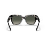 Ray-Ban State Street Havana Grey Sunglasses | Ray-Ban at Centro Óptico Alpedrete