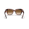 Gafas de sol Ray-Ban State Street Habana Rosa | Centro Óptico Alpedrete