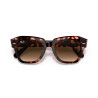 Gafas de sol Ray-Ban State Street Habana Rosa | Centro Óptico Alpedrete