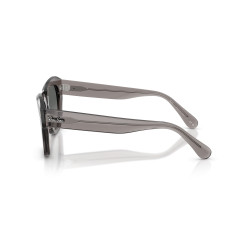 Gafas de sol Ray-Ban State Street Gris Transparente | Centro Óptico Alpedrete