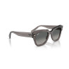 Gafas de sol Ray-Ban State Street Gris Transparente | Centro Óptico Alpedrete