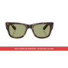 Pair of Bottle Green lenses for Ray-Ban RB0840S | Centro Óptico Alpedrete