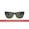 Pair of Polarized Green lenses for Ray-Ban RB0840S | Centro Óptico Alpedrete