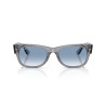 Gafas de sol Ray-Ban Mega Wayfarer II Gris | Ray-Ban en Centro Óptico Alpedrete