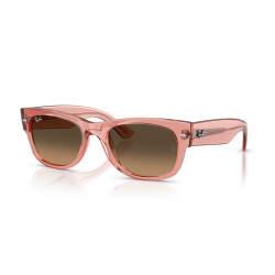 Gafas Ray-Ban Mega Wayfarer II Rosa Transparente | Centro Óptico Alpedrete