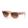 Ray-Ban Mega Wayfarer II Transparent Pink Sunglasses | Centro Óptico Alpedrete