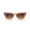 Ray-Ban Mega Wayfarer II Transparent Pink Sunglasses | Centro Óptico Alpedrete