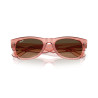 Ray-Ban Mega Wayfarer II Transparent Pink Sunglasses | Centro Óptico Alpedrete