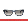 Lentes de repuesto Gris degradado transparente RB0832S | Centro Óptico Alpedrete