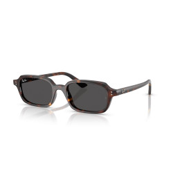Ray-Ban Zuri Havana Sunglasses | 100% Genuine at Centro Óptico Alpedrete