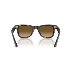 Gafas de sol Ray-Ban Wayfarer Ease Habana | Ray-Ban en Centro Óptico Alpedrete