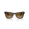 Gafas de sol Ray-Ban Wayfarer Ease Habana | Ray-Ban en Centro Óptico Alpedrete