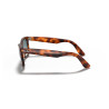 Gafas de sol Ray-Ban Wayfarer Ease Habana Rojo | Centro Óptico Alpedrete