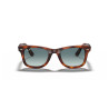Gafas de sol Ray-Ban Wayfarer Ease Habana Rojo | Centro Óptico Alpedrete