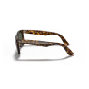 Gafas de sol Ray-Ban Wayfarer Ease Habana Claro | Centro Óptico Alpedrete