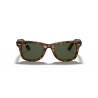Gafas de sol Ray-Ban Wayfarer Ease Habana Claro | Centro Óptico Alpedrete