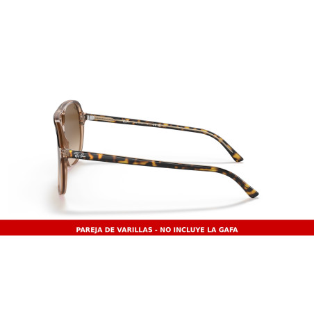 Replacement temples Ray-Ban Bill RB2198 129251 | Centro Óptico Alpedrete