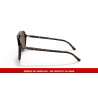 Varillas de repuesto Ray-Ban Bill RB2198 902/57 | Centro Óptico Alpedrete