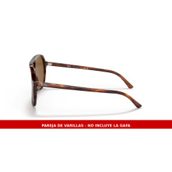 Replacement temples Ray-Ban Bill RB2198 954/33 | Centro Óptico Alpedrete