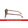 Replacement temples Ray-Ban Bill RB2198 954/33 | Centro Óptico Alpedrete