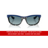 Ray-Ban Balorama Street Neat RB2489 Replacement Blue Gradient Grey Lenses