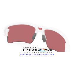 Oakley Flak 2.0 XXL OO9488-12 Prizm Dark Golf | Centro Óptico Alpedrete