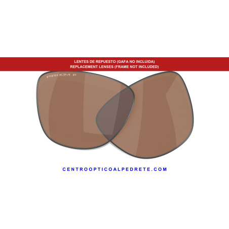 Lentes Oakley Frogskins Range OO9284 / Hybrid OO9289 | 000007 Prizm Tungsten Polarized