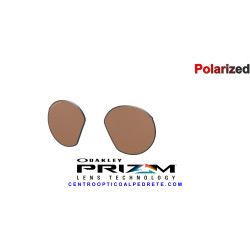 Genuine Oakley HSTN Replacement Lenses Prizm Tungsten Polarized Spare Pair Official