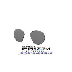 Genuine Oakley HSTN Replacement Lenses Prizm Black Spare Pair Official