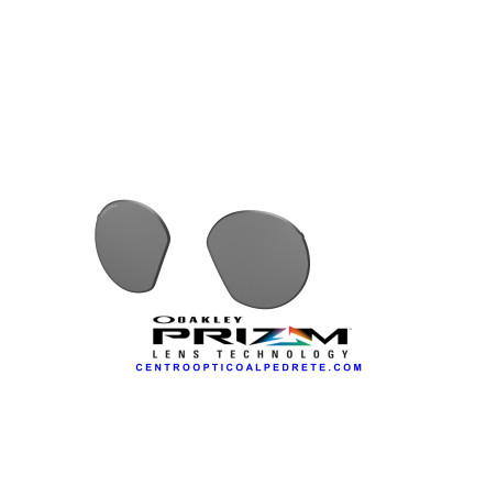 Genuine Oakley HSTN Replacement Lenses Prizm Black Spare Pair Official