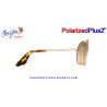 Maui Jim Mavericks Gold / HCL Bronze MJ0264S-002 HS264-16 | Gafas de Sol