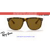 Replacement lenses Brown Polarized RB4147 | Centro Óptico Alpedrete