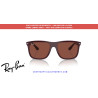 Lentes de repuesto Ray-Ban RB4547 Rojo | Centro Óptico Alpedrete