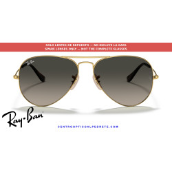 Ray-Ban Aviator Grey Gradient Lens Pair (RB3025 181/71) | Centro Optico Alpedrete