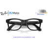 Ray-Ban Meta (Gen 3) Wayfarer Smart Sunglasses Transparent Black RW4011-690680