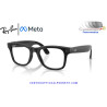 Ray-Ban Meta (Gen 3) Wayfarer Smart Sunglasses Transparent Black RW4011-690680
