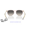 Ray-Ban Erika Transparent Pink / Grey (RB4171 674211) | Centro Óptico Alpedrete