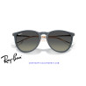 Ray-Ban Erika Rubber Blue / Gradient Grey (RB4171 681311) | Centro Óptico Alpedrete