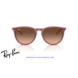 Ray-Ban Erika Rubber Violet / Pink Gradient Brown (RB4171 6815A5)