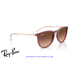 Ray-Ban Erika Rubber Violet / Pink Gradient Brown (RB4171 6815A5)
