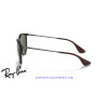 Ray-Ban Erika Habana clara / verde G-15 (RB4171 710/71) | Centro Óptico Alpedrete