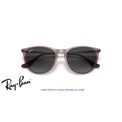 Ray-Ban Junior Erika Violeta transparente (RJ9060S 71078G) | Centro Óptico Alpedrete