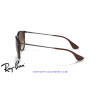 Ray-Ban Erika Habana goma / marrón degradada (RB4171 865/13)