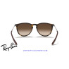 Ray-Ban Erika Habana goma / marrón degradada (RB4171 865/13)