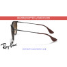 Pareja de varillas originales Ray-Ban Erika RB4171 865/13 Rubber havana