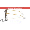 Pareja de varillas originales Ray-Ban Erika RB4171 659013 Transparent light