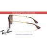 Pareja de varillas originales Ray-Ban Erika RB4171 6593T5 Transparent dark brown