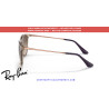 Pareja de varillas originales Ray-Ban Junior Erika RJ9060S 710813 Transparent